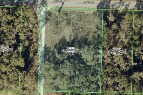 Terreno en venta en Webster, Florida № 2218339 - foto 14