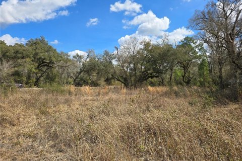 Terreno en venta en Webster, Florida № 2218339 - foto 12