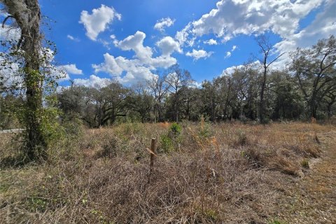 Terreno en venta en Webster, Florida № 2218339 - foto 8
