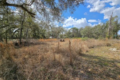 Terreno en venta en Webster, Florida № 2218339 - foto 7