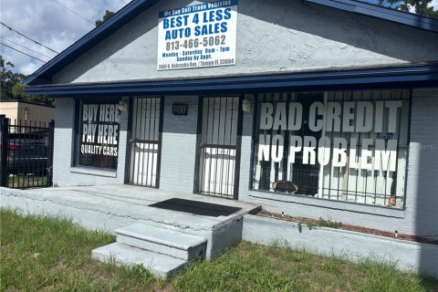 Commercial property in Tampa, Florida № 2218612