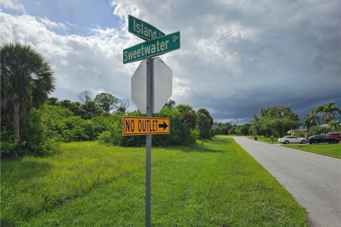 Land in Rotonda, Florida № 2162336 - photo 4