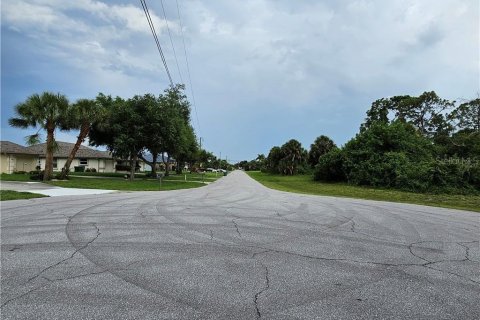 Land in Rotonda, Florida № 2162336 - photo 3