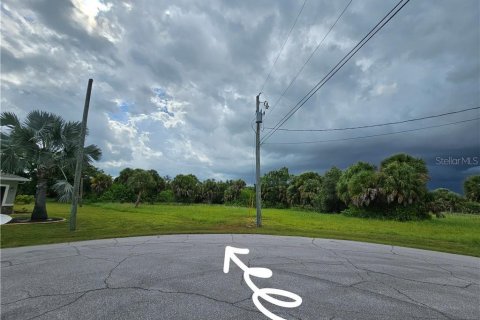 Land in Rotonda, Florida № 2162336 - photo 2
