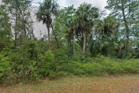 Land in Crystal River, Florida № 2159711
