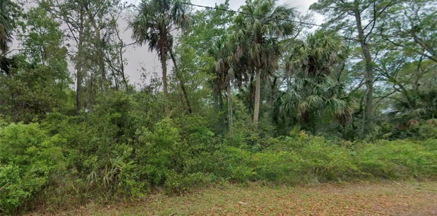 Terreno en Crystal River, Florida № 2159711