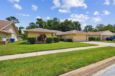 House in New Port Richey, Florida 4 bedrooms, 253.34 sq.m. № 1883724 - photo 5