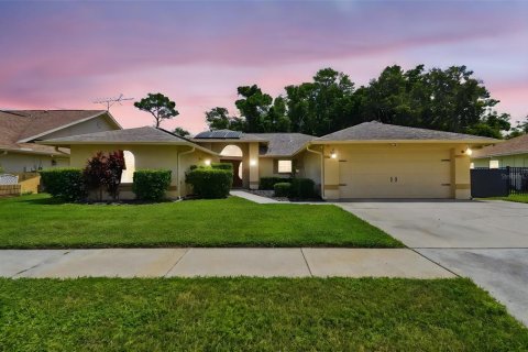 House in New Port Richey, Florida 4 bedrooms, 253.34 sq.m. № 1883724 - photo 1