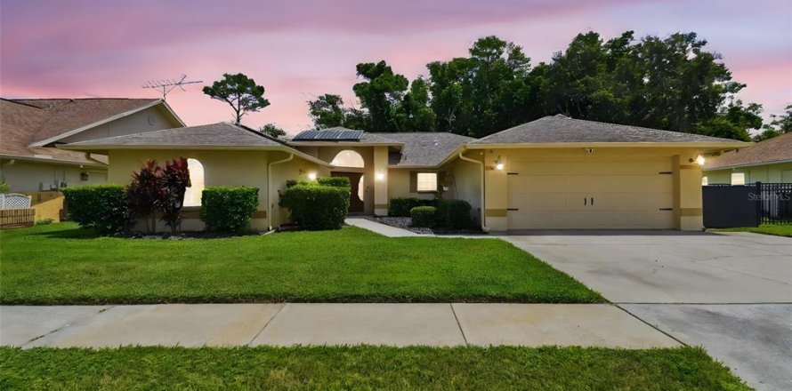 House in New Port Richey, Florida 4 bedrooms, 253.34 sq.m. № 1883724