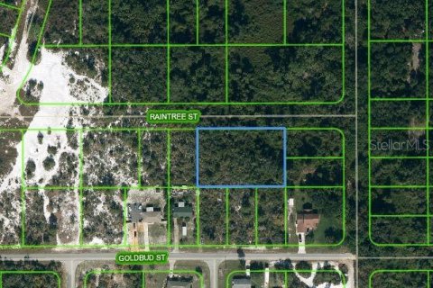 Terreno en Lake Placid, Florida № 2223984