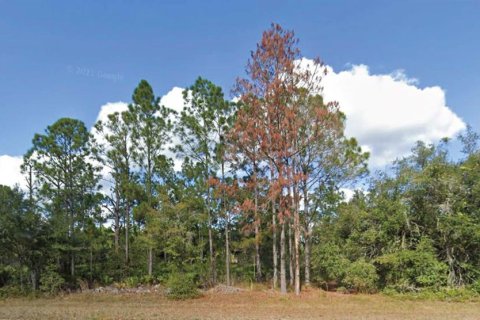 Land in Indian lake estates, Florida № 2280685