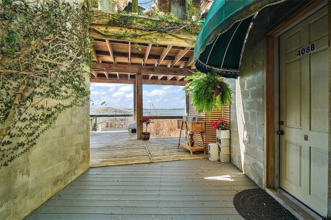 Appartement à louer à Mount Dora, Floride: 1 chambre, 39.02 m2 № 1597631 - photo 5