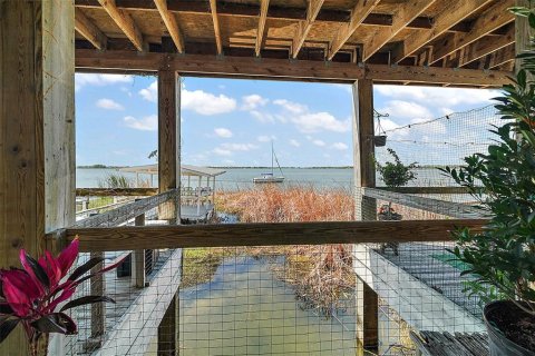 Appartement à louer à Mount Dora, Floride: 1 chambre, 39.02 m2 № 1597631 - photo 3