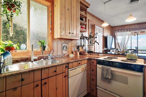 Appartement à louer à Mount Dora, Floride: 1 chambre, 39.02 m2 № 1597631 - photo 16