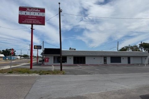 Immobilier commercial à vendre à Tampa, Floride: 273.41 m2 № 2103282 - photo 11