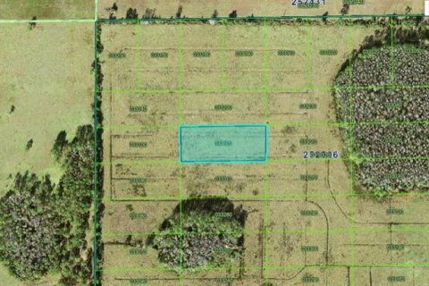 Terreno en Polk City, Florida № 2226934