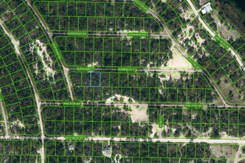 Land in Lake Placid, Florida № 2224029