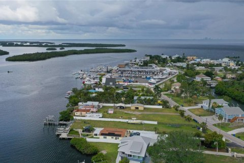 Land in Ruskin, Florida № 1747061 - photo 7