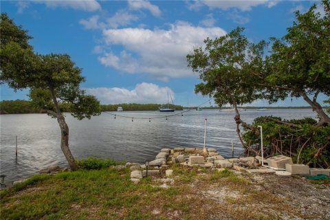 Land in Ruskin, Florida № 1747061 - photo 1