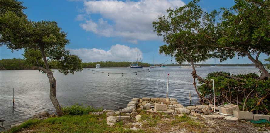 Land in Ruskin, Florida № 1747061