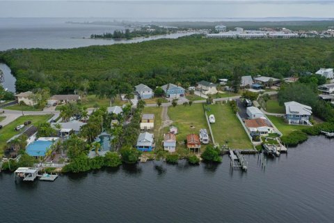 Land in Ruskin, Florida № 1747061 - photo 9