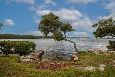 Land in Ruskin, Florida № 1747061 - photo 2