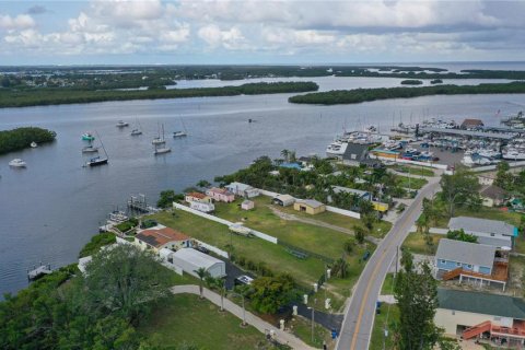 Land in Ruskin, Florida № 1747061 - photo 6