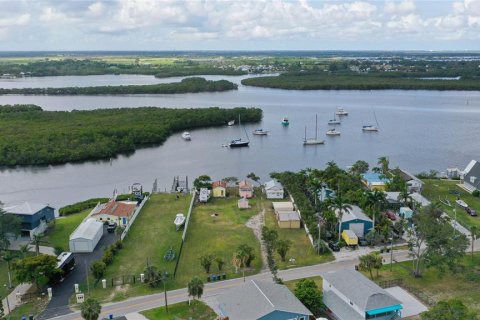Land in Ruskin, Florida № 1747061 - photo 5