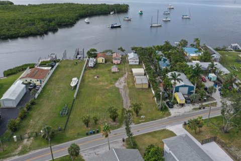 Land in Ruskin, Florida № 1747061 - photo 3