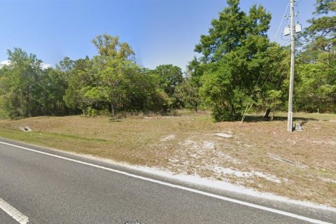 Land in DeLand, Florida № 1866445 - photo 2