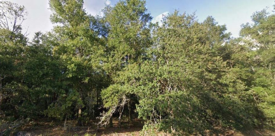 Land in Interlachen, Florida № 2162679
