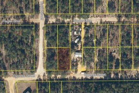 Land in Interlachen, Florida № 2162679 - photo 2