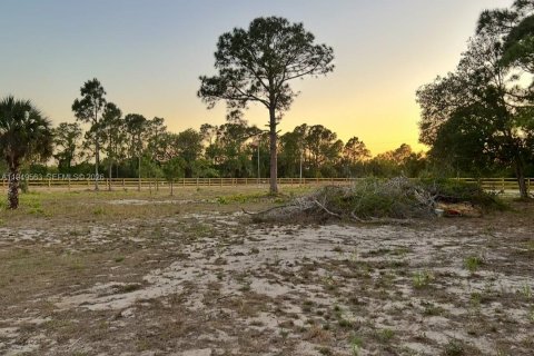 Terrain à vendre à Clewiston, Floride № 2005514 - photo 2