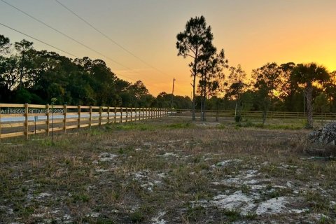 Terrain à Clewiston, Floride № 2005514