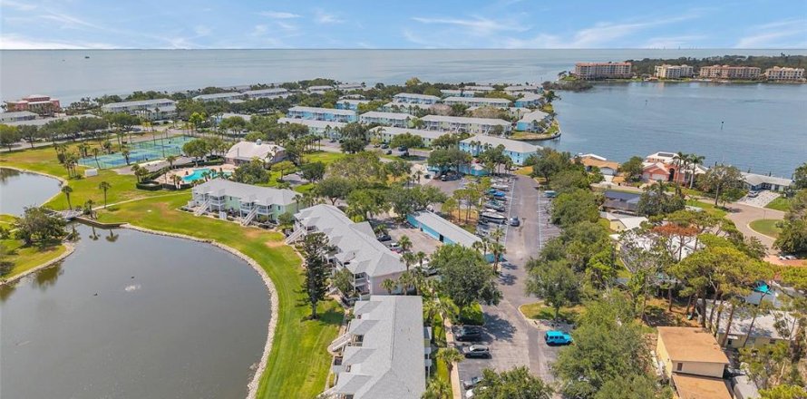 Condominio en Saint Petersburg, Florida, 1 dormitorio № 1684673