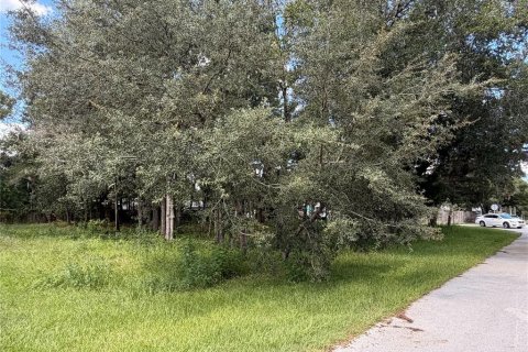 Terrain à Homosassa, Floride № 2349345