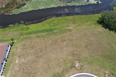 Land in Lake Alfred, Florida № 1800394 - photo 11