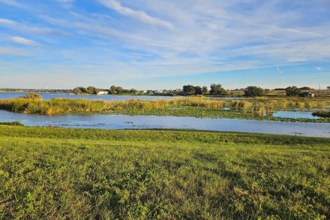 Land in Lake Alfred, Florida № 1800394 - photo 12
