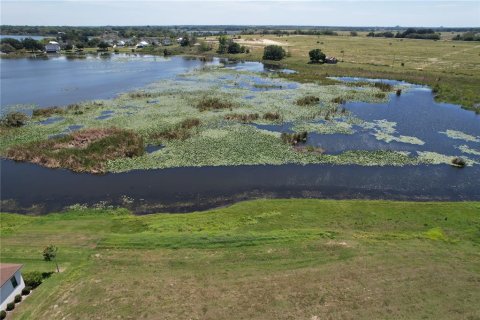 Land in Lake Alfred, Florida № 1800394 - photo 6