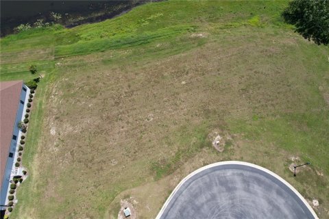 Land in Lake Alfred, Florida № 1800394 - photo 8