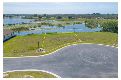 Land in Lake Alfred, Florida № 1800394 - photo 2