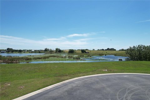 Land in Lake Alfred, Florida № 1800394 - photo 5
