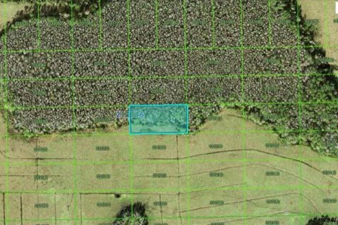 Terreno en Polk City, Florida № 2235315