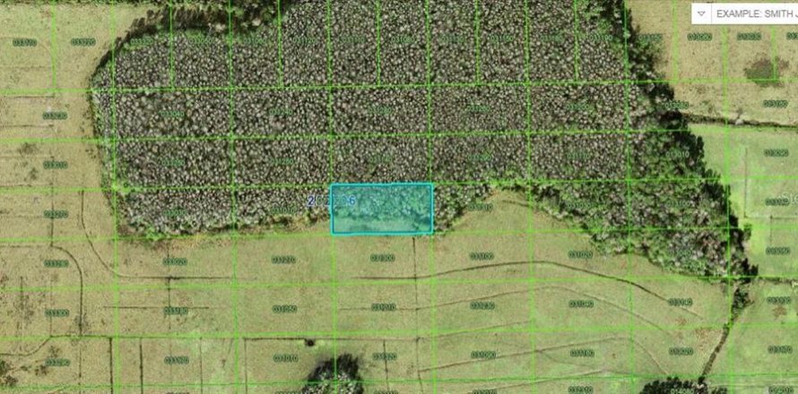 Land in Polk City, Florida № 2235315
