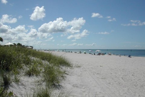 Villa ou maison à vendre à Englewood, Floride: 2 chambres, 97.36 m2 № 1734735 - photo 25