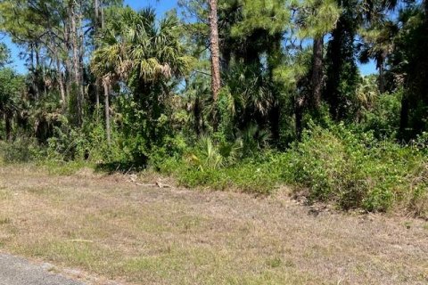 Terrain à vendre à LaBelle, Floride № 2195355 - photo 4