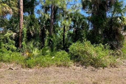 Terrain à vendre à LaBelle, Floride № 2195355 - photo 2