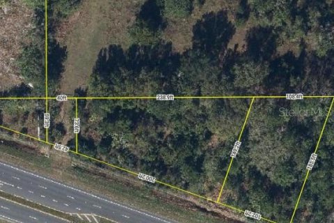 Terreno en venta en Orlando, Florida № 1906677 - foto 25