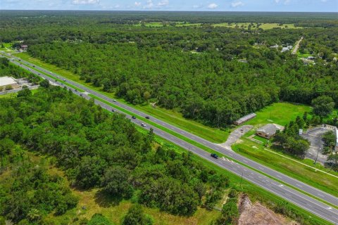 Terreno en venta en Orlando, Florida № 1906677 - foto 15