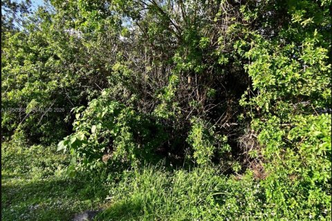Land in St. Lucie, Florida № 2158162